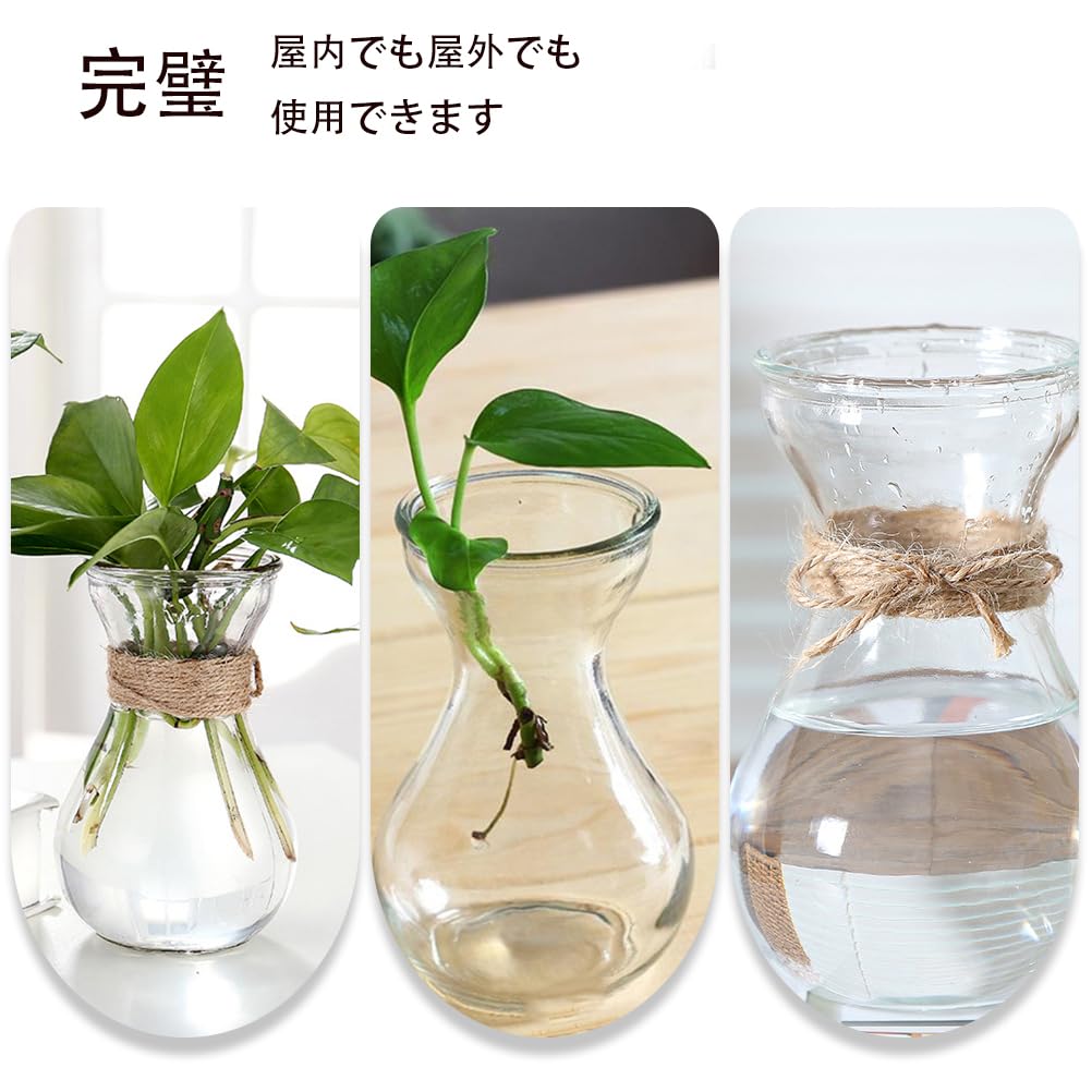 ウオーターヒヤシンス　花瓶 Amazon.co.jp: GANAZONO ヒヤシンス 花瓶 ガラス 水栽培 容器